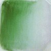 Celee Evans Porcelain Paint: Apple Green