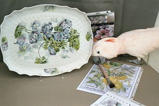 Celee Evans Porcelain: Kilauea the Painting Cockatoo