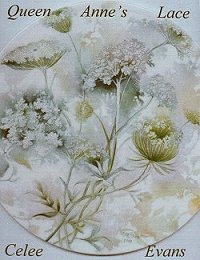 Celee Evans Porcelain Study: Queen Anne's Lace