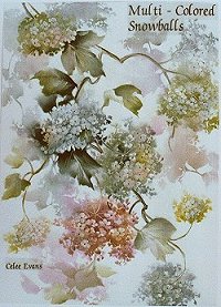 Celee Evans Porcelain Study: Multi-Colored Snowballs