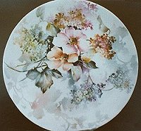 Celee Evans Porcelain Study: Wild Roses & Snowballs